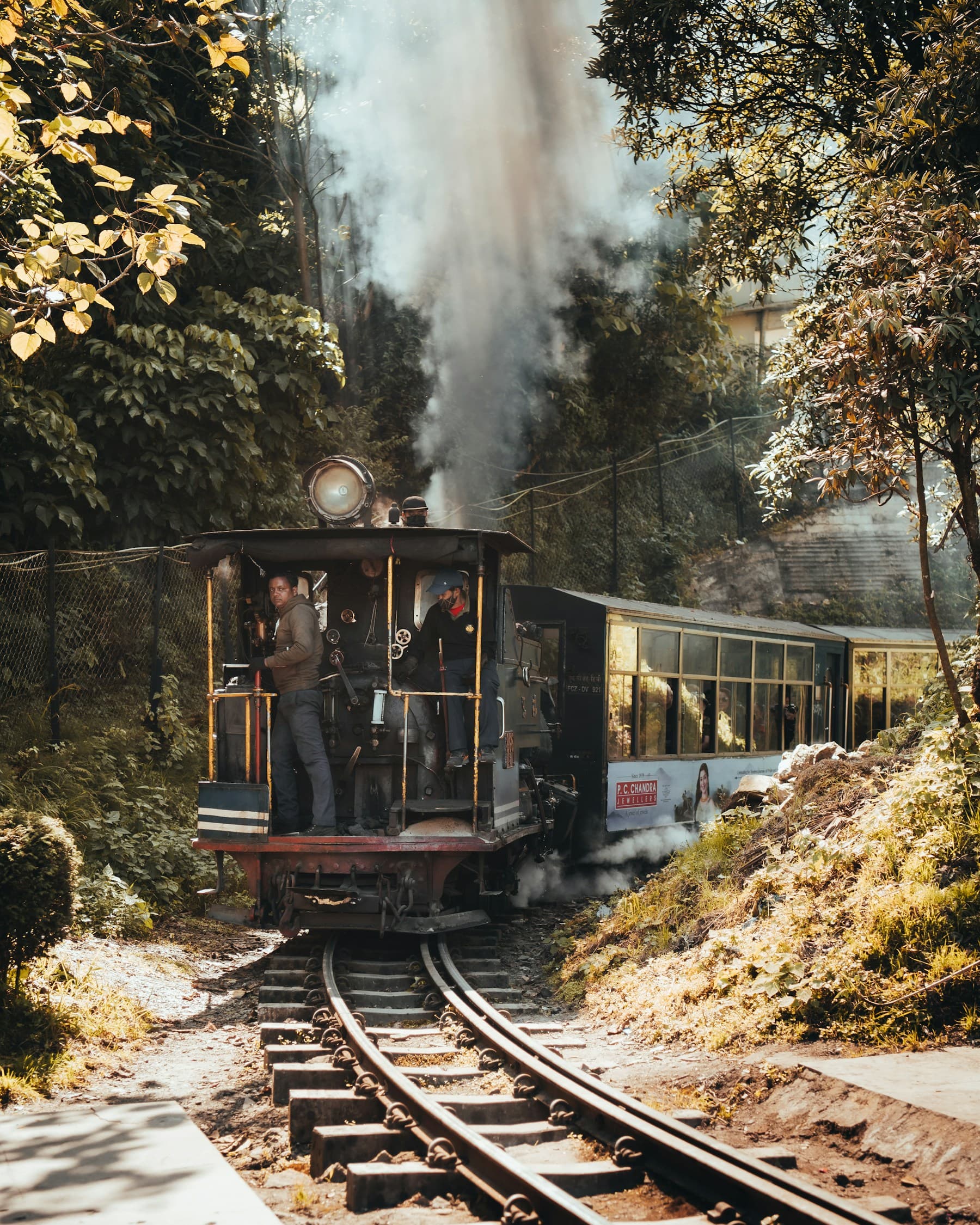 Darjeeling Himalayan Railway steam train in the forest